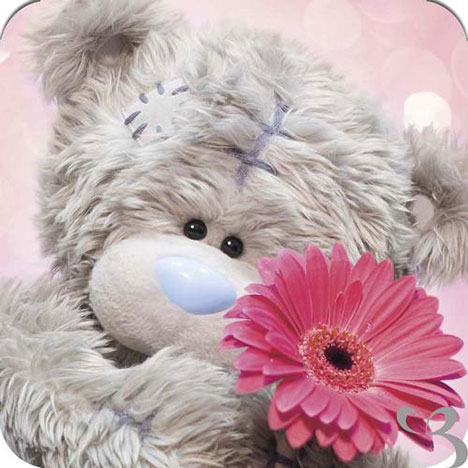 Me to You Bear Luxury Cards and Envelopes Pack of 10 £3.90